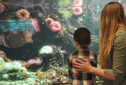 Nicholas Sonntag Marine Education Ctr. (aquarium)